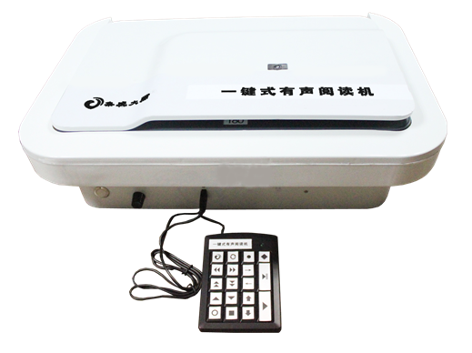 Text to speech reader-