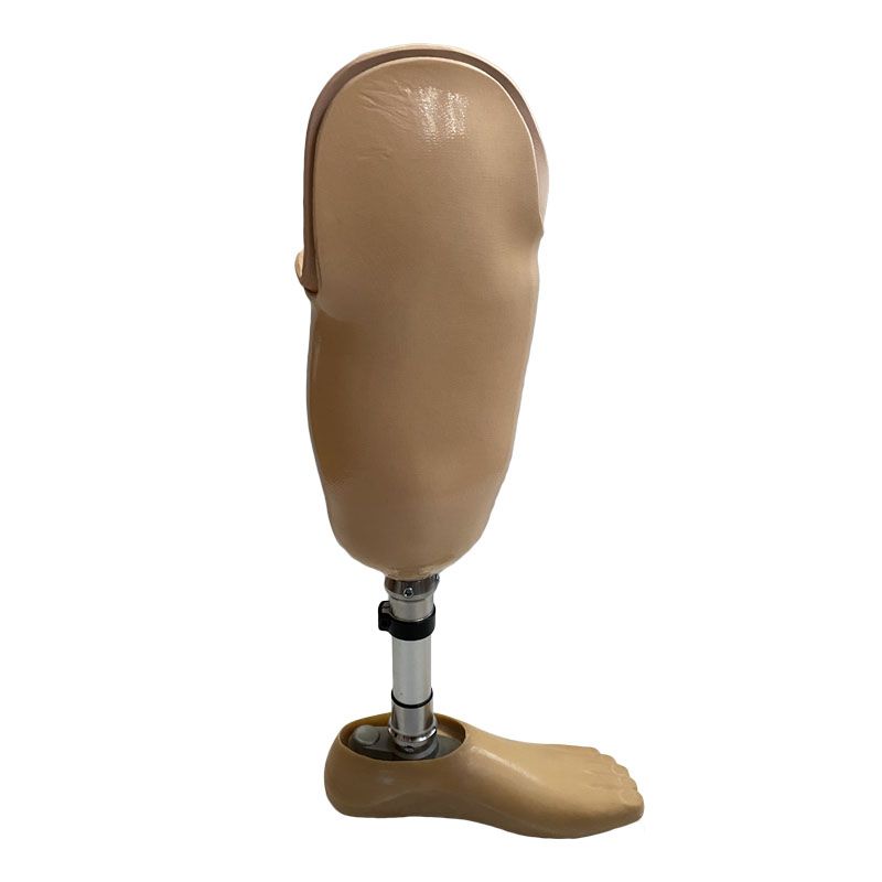 Customized Prosthetic Leg-