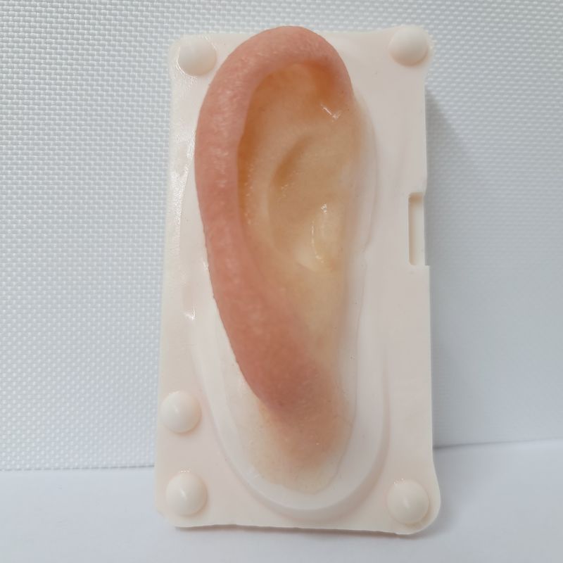 Artificial Ear-