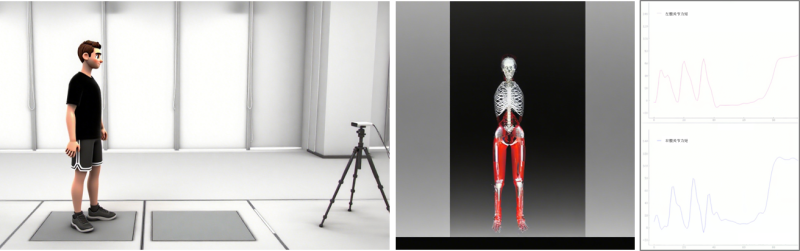 基于無標(biāo)記運(yùn)動(dòng)捕獲的人體下肢生物力學(xué)分析系統(tǒng)-